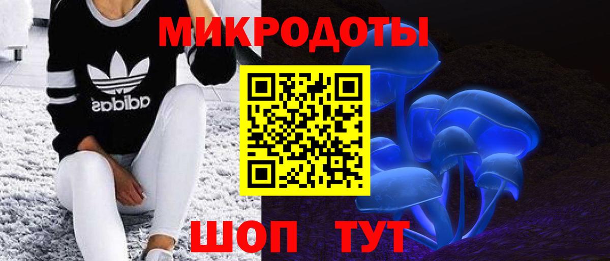 Александров  как найти закладки  Вход с VPN  Галлюциногенные грибы мицелий 